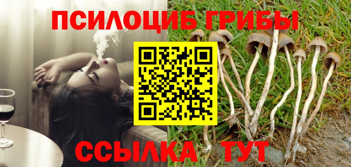 Галлюциногенные грибы Psilocybe  магазин продажи   Галлюциногенные грибы MAGIC MUSHROOMS  Менделеевск  Вход с VPN 